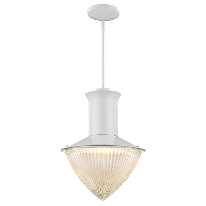 One Light Pendant from the Skylar collection in White finish