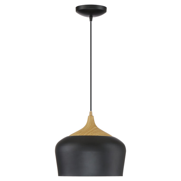LED Pendant from the Blend collection in Black with Wood Grain finish