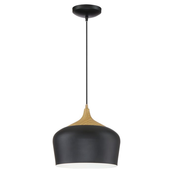 LED Pendant from the Blend collection in Black with Wood Grain finish