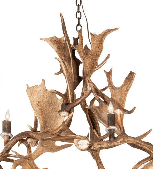 12 Light Chandelier from the Antlers collection in Bronze finish