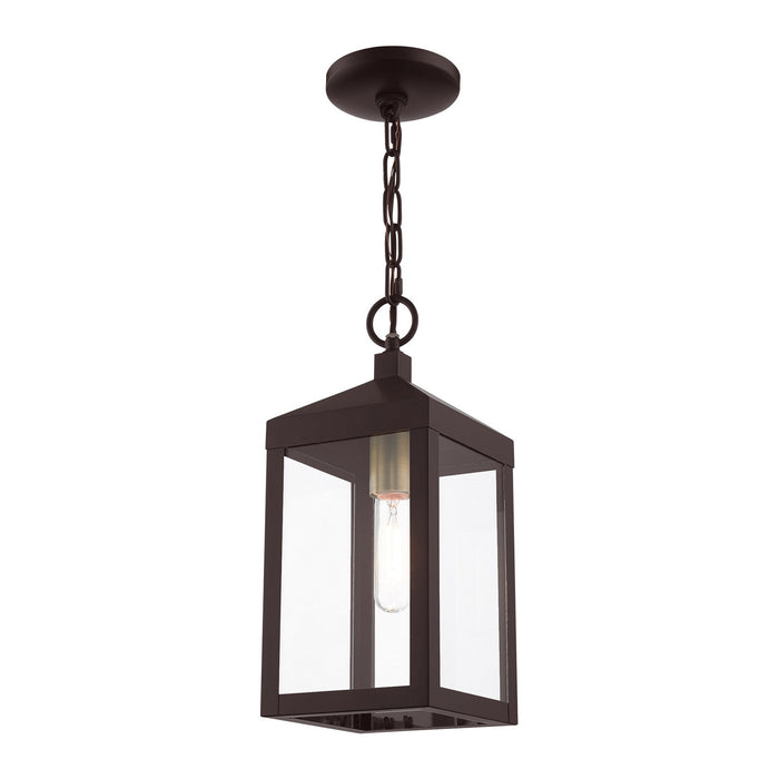 One Light Outdoor Pendant from the Nyack collection in Bronze with Antique Brass Cluser finish