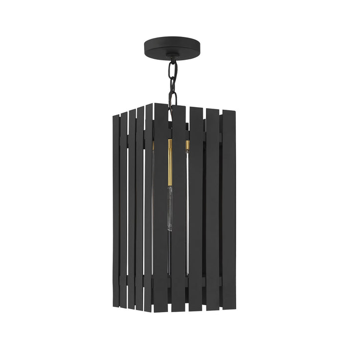 One Light Outdoor Pendant from the Greenwich collection in Black with Satin Brass Accents finish