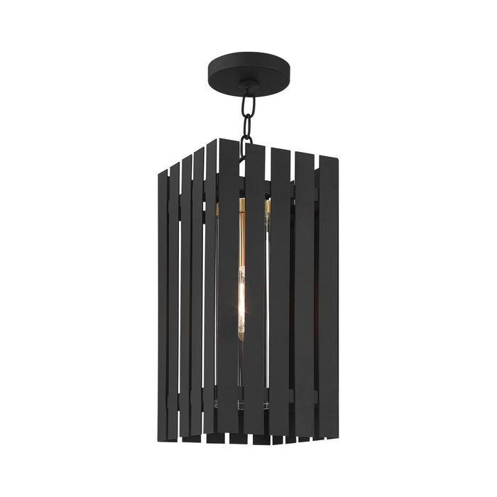 One Light Outdoor Pendant from the Greenwich collection in Black with Satin Brass Accents finish