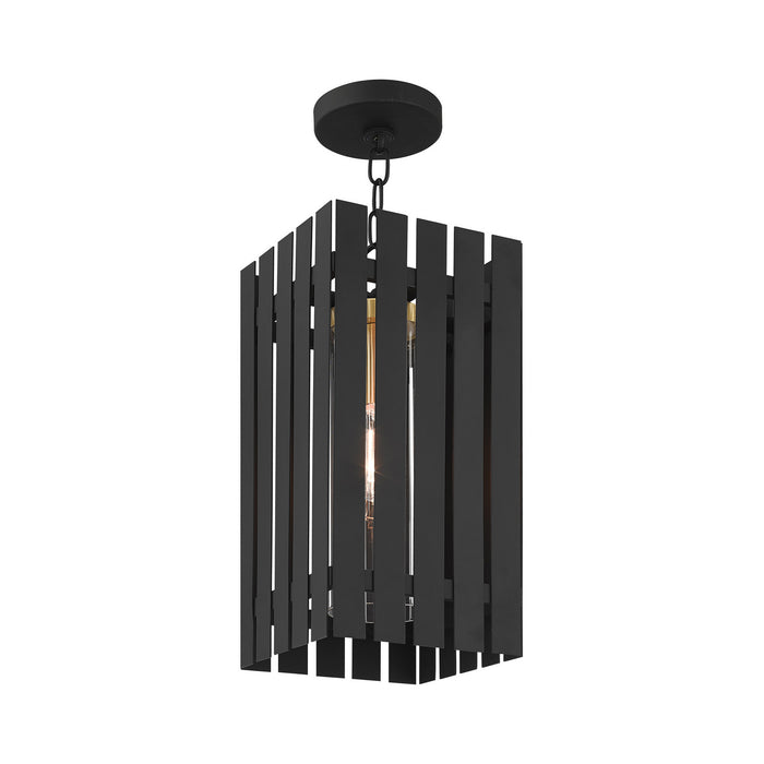 One Light Outdoor Pendant from the Greenwich collection in Black with Satin Brass Accents finish