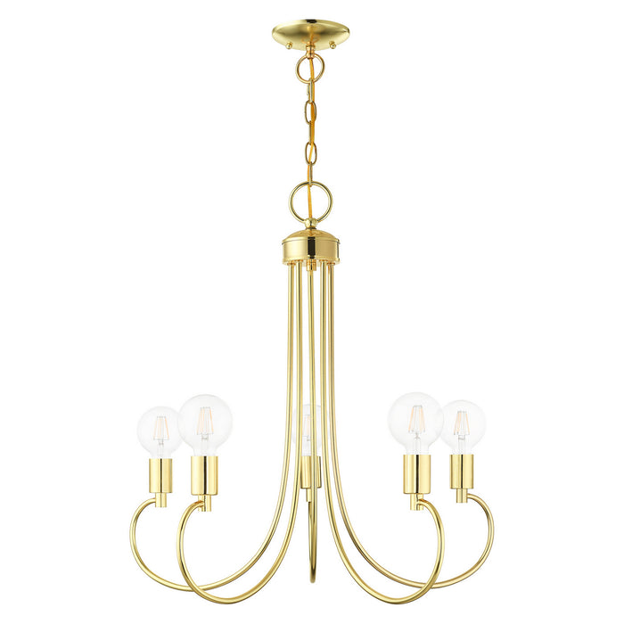 Five Light Chandelier from the Bari collection in Polished Brass finish