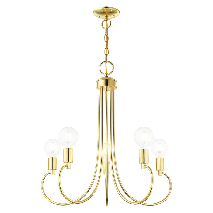 Five Light Chandelier from the Bari collection in Polished Brass finish