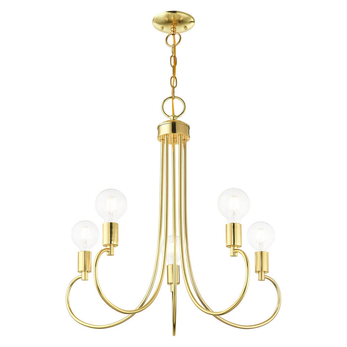 Five Light Chandelier from the Bari collection in Polished Brass finish