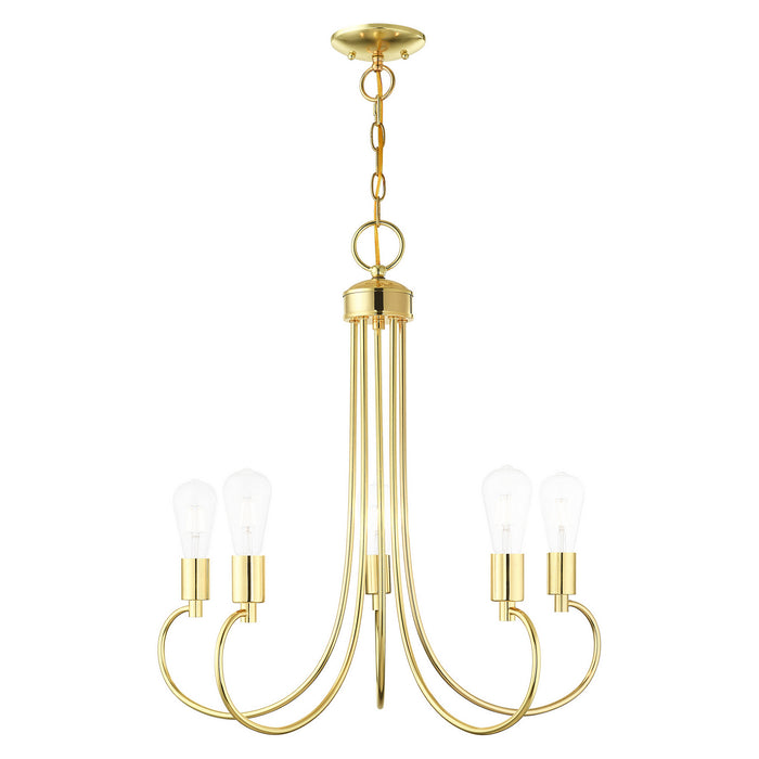 Five Light Chandelier from the Bari collection in Polished Brass finish
