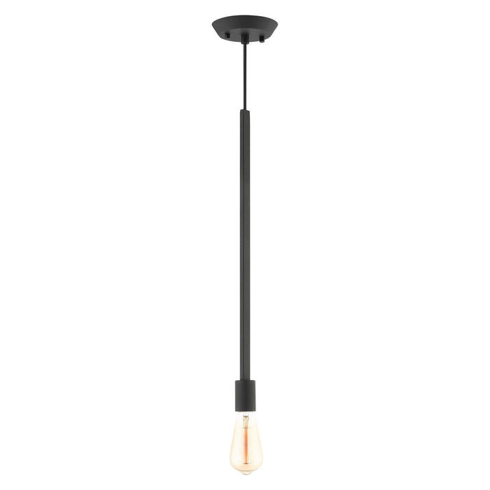 One Light Pendant from the Prague collection in Black finish