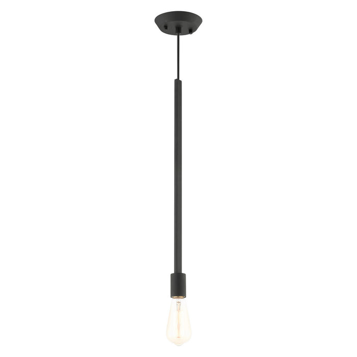 One Light Pendant from the Prague collection in Black finish