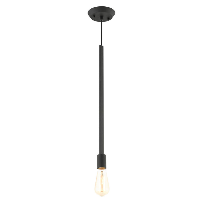 One Light Pendant from the Prague collection in Black finish