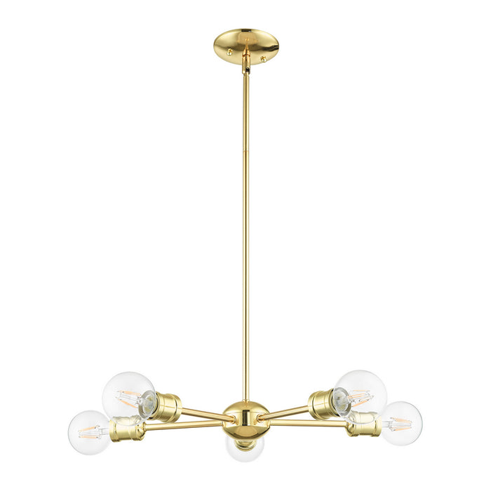 Five Light Chandelier from the Lansdale collection in Polished Brass finish