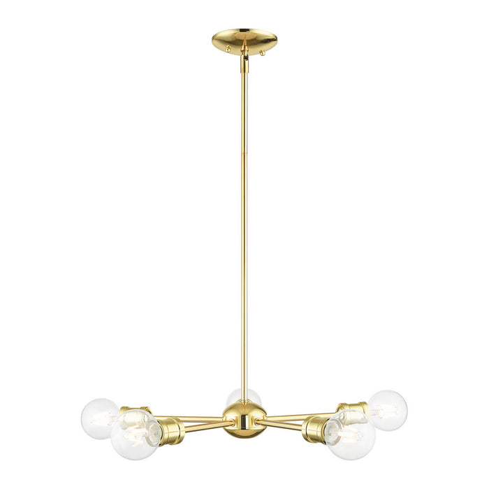 Five Light Chandelier from the Lansdale collection in Polished Brass finish
