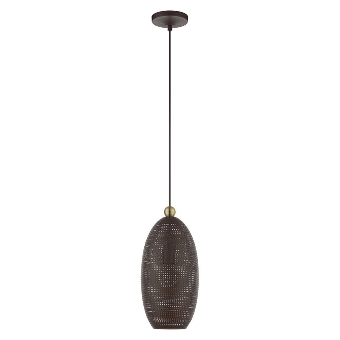 One Light Pendant from the Dublin collection in Bronze with Antique Brass Accents finish