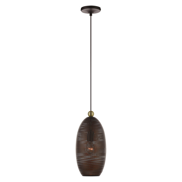 One Light Pendant from the Dublin collection in Bronze with Antique Brass Accents finish