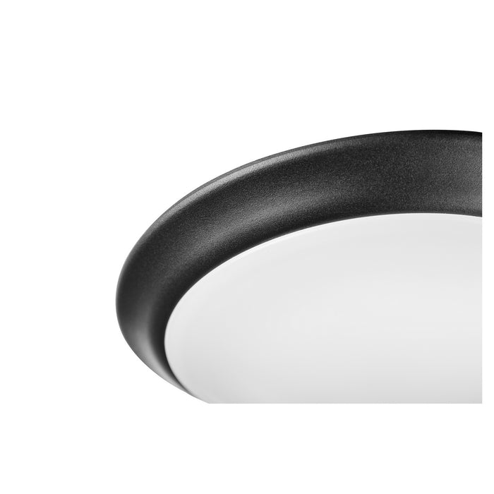 LED Ceiling Mount in Noir finish