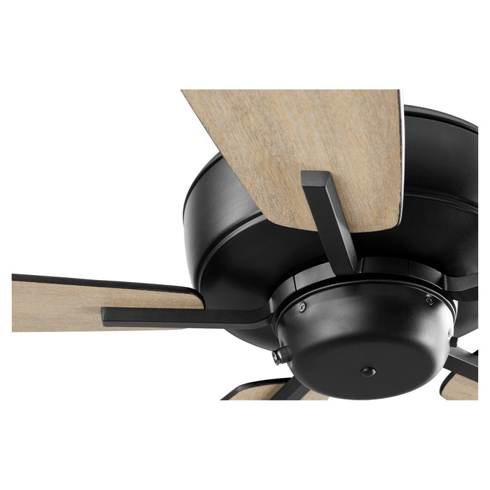 60``Ceiling Fan from the Breeze 60`` collection in Noir finish