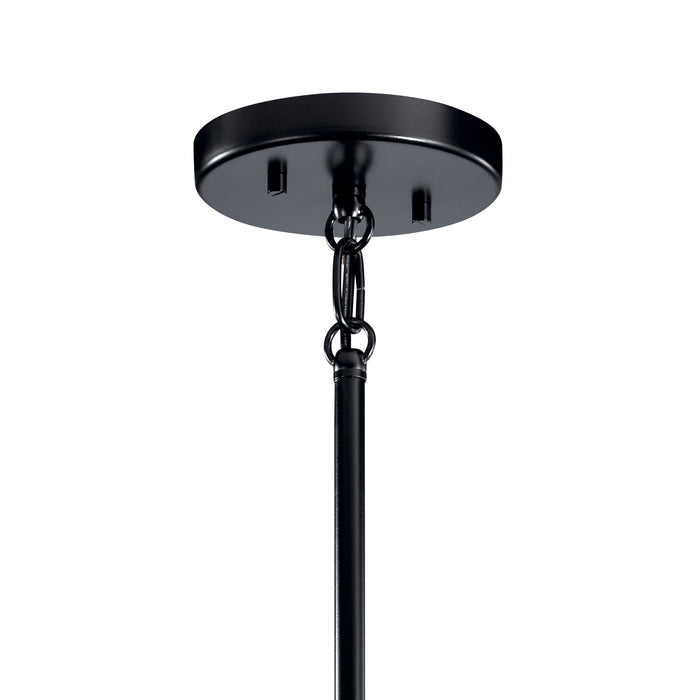 Eight Light Chandelier from the Cartone collection in Black finish