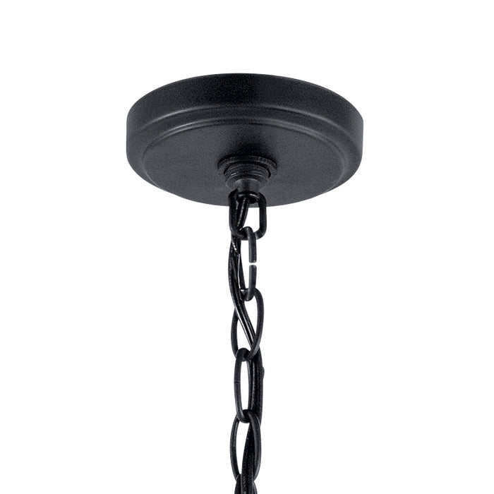 Three Light Mini Chandelier from the Winslow collection in Black finish