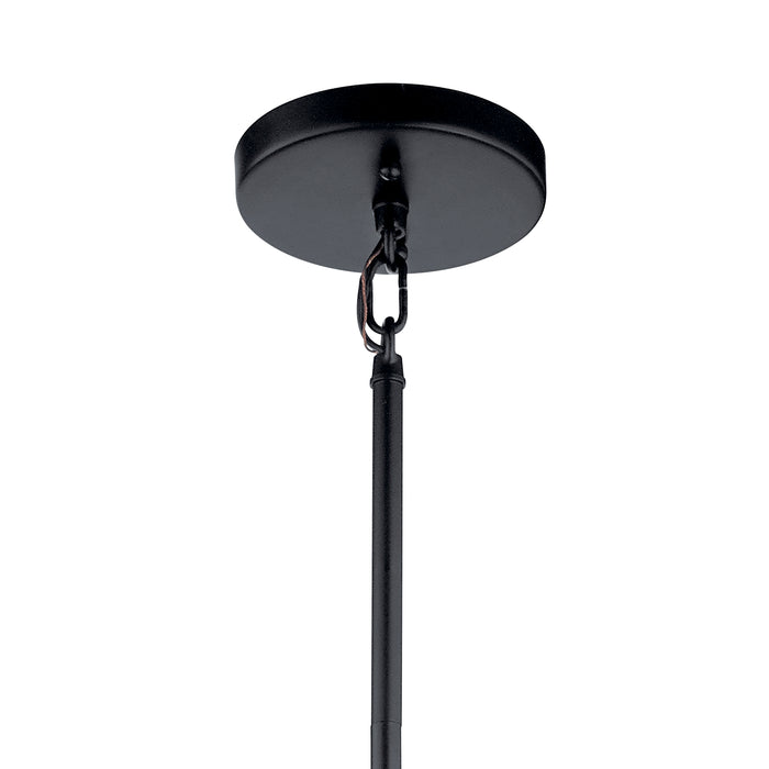 Four Light Pendant from the Birkleigh collection in Black finish