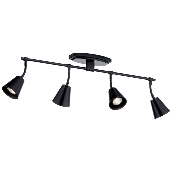 Four Light Rail Light from the Sylvia collection in Black finish