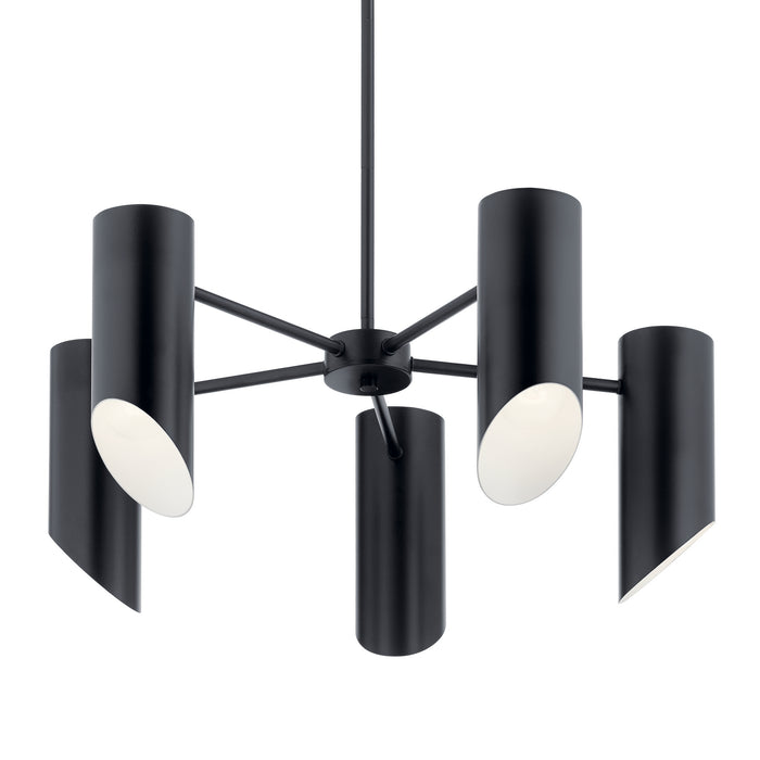 Five Light Chandelier from the Trentino collection in Black finish