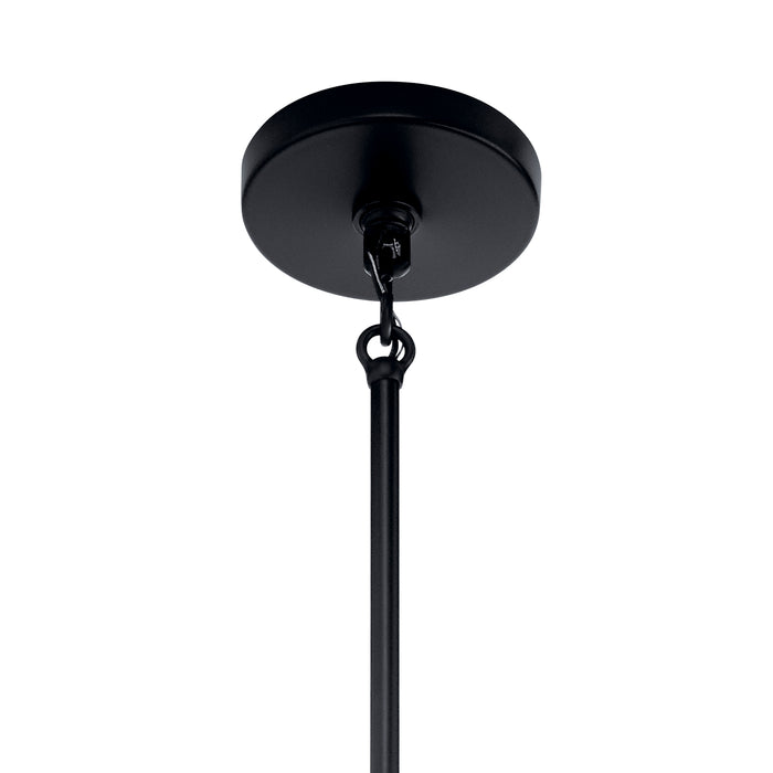 Five Light Chandelier from the Trentino collection in Black finish