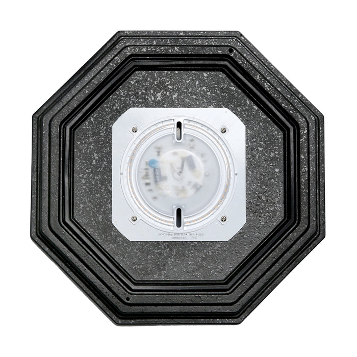 LED Spider Cage Fixture in White finish
