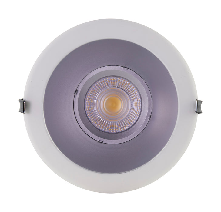 LED Downlight in Silver finish