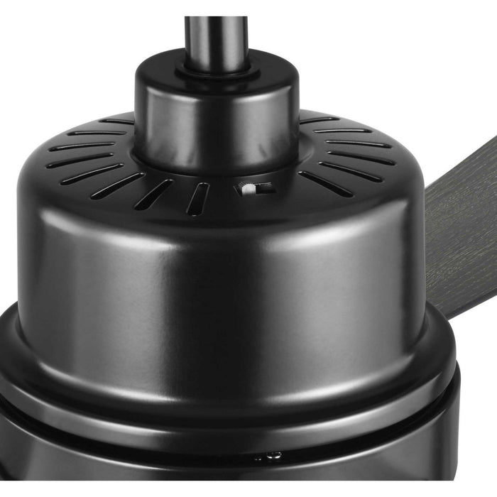 44``Ceiling Fan from the Trevina II collection in Black finish