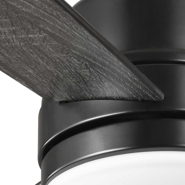 44``Ceiling Fan from the Trevina II collection in Black finish