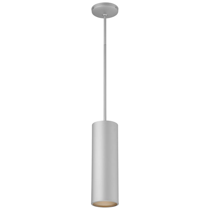 LED Pendant from the Pilson collection in Satin finish