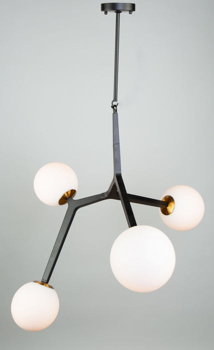 Four Light Pendant from the Ravello collection in Black & Harvest Brass finish