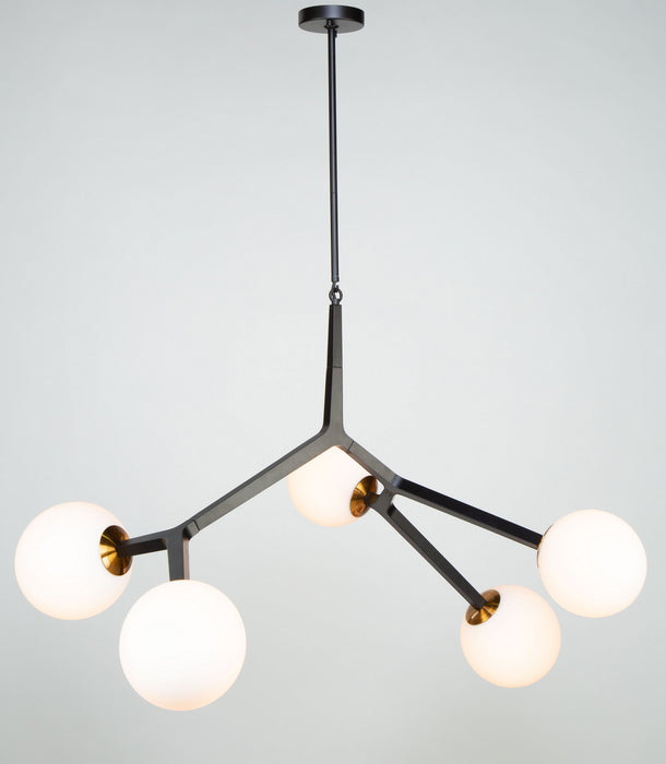 Five Light Pendant from the Ravello collection in Black & Harvest Brass finish