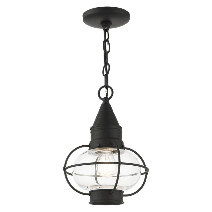 One Light Outdoor Pendant from the Newburyport collection in Black finish