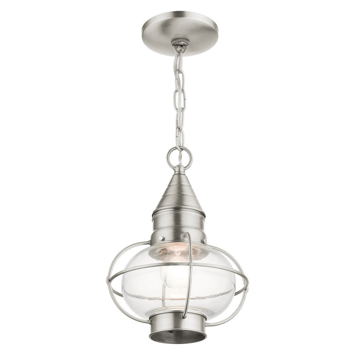 One Light Outdoor Pendant from the Newburyport collection in Brushed Nickel finish
