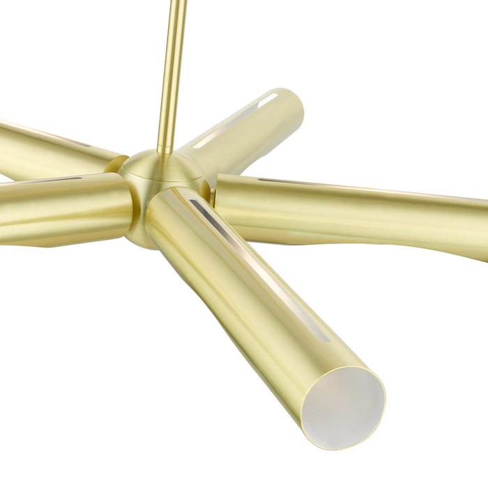 Five Light Chandelier from the Acra collection in Satin Brass finish
