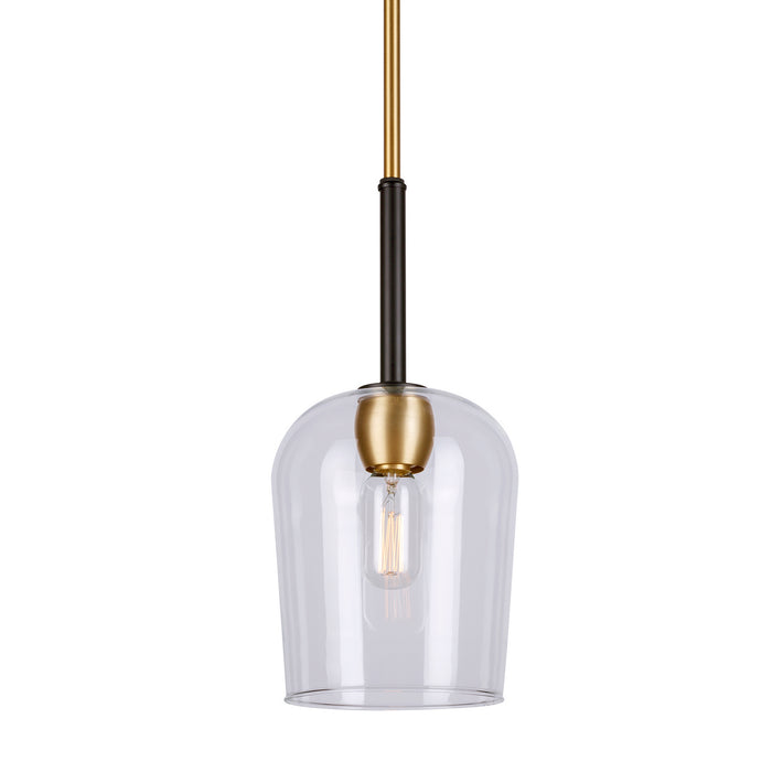 One Light Mini Pendant from the Palmer collection in Black and Soft Gold finish