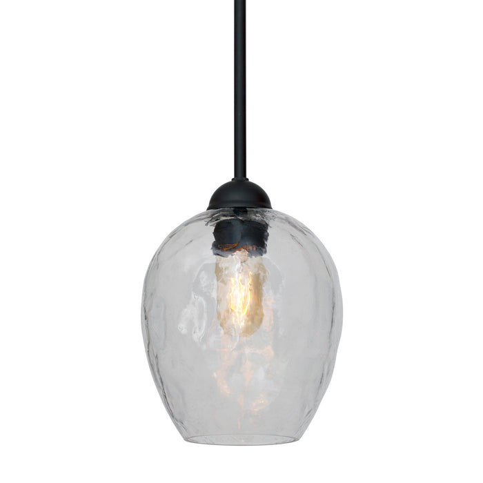 One Light Pendant from the Olivia collection in Black finish