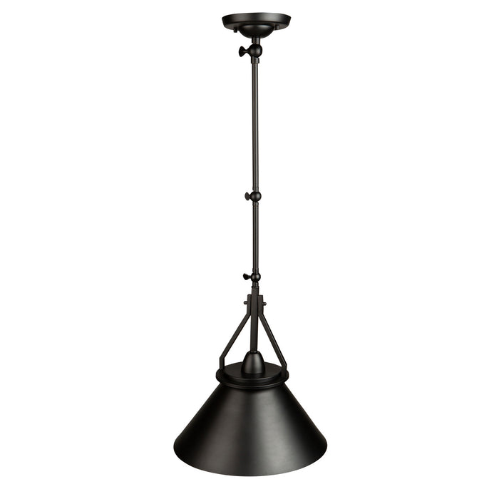 One Light Sconce/Pendant from the Brydon collection in Black finish