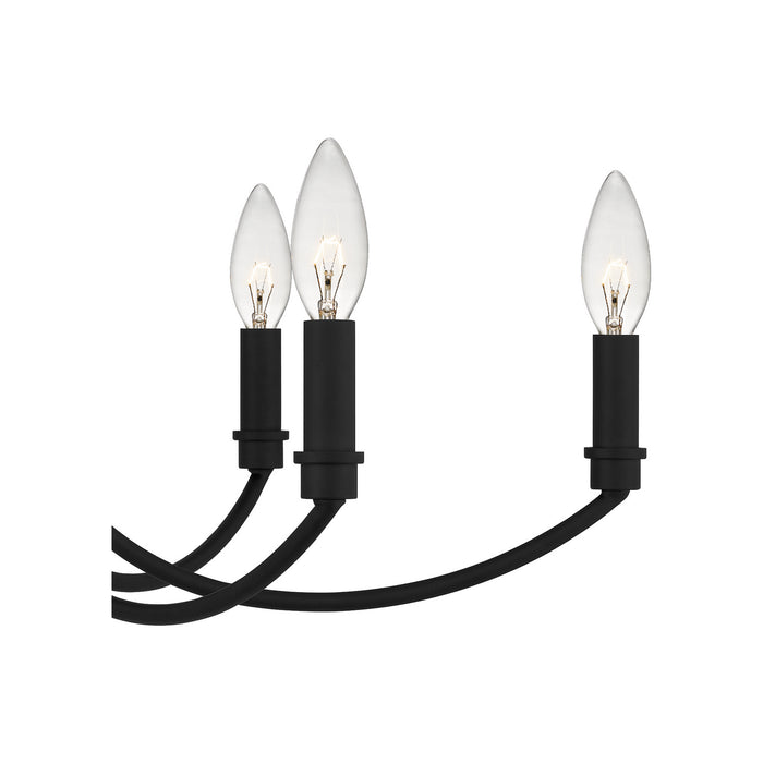 Nine Light Chandelier from the Briar collection in Matte Black finish