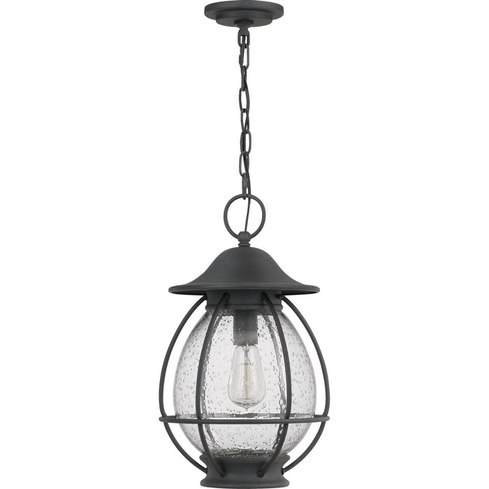 One Light Mini Pendant from the Boston collection in Mottled Black finish