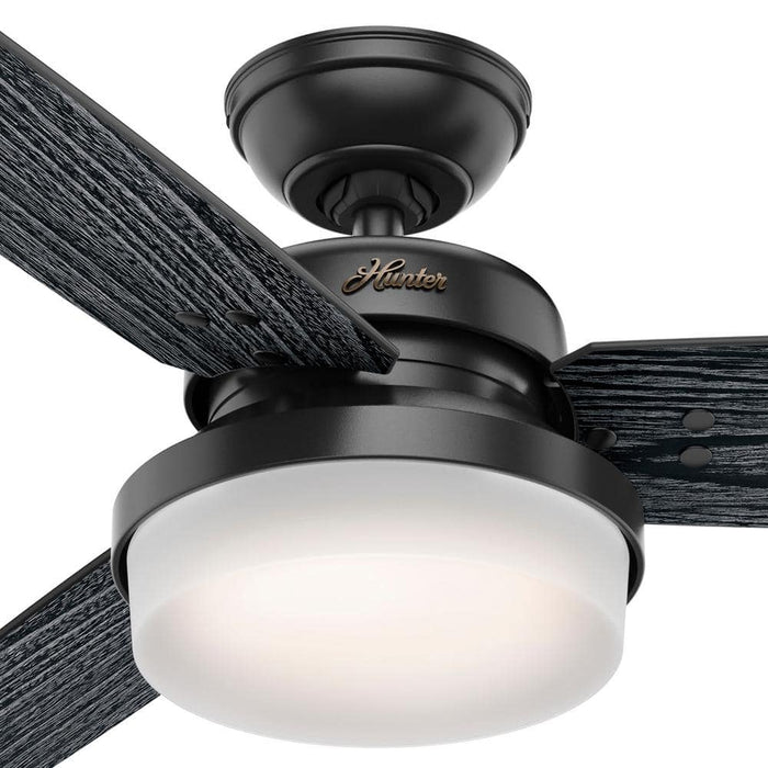 Hunter 52" Sentinel Ceiling Fan with LED Light Kit and Handheld Remote