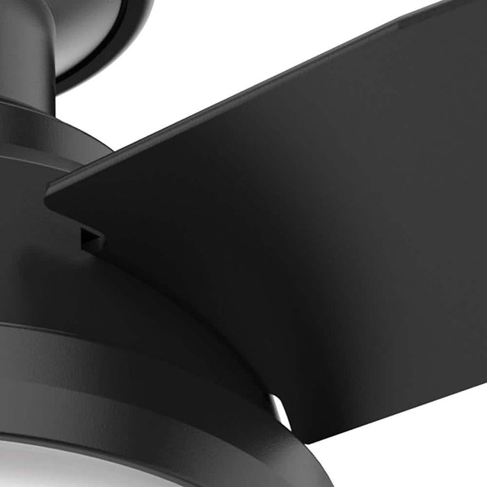 Hunter 44" Dempsey Outdoor Ceiling Fan with LED Light Kit and Handheld Remote