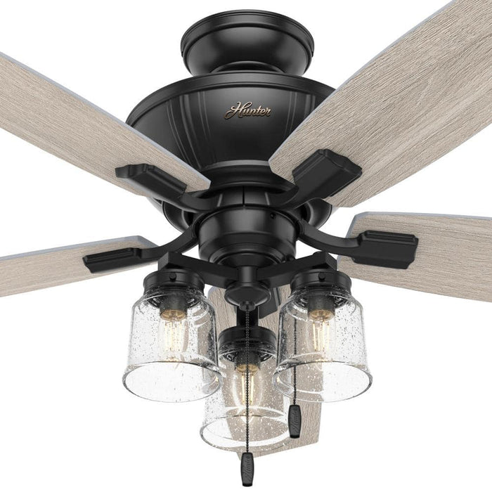 Hunter 52" Charlotte Ceiling Fan with LED Light Kit and Pull Chains