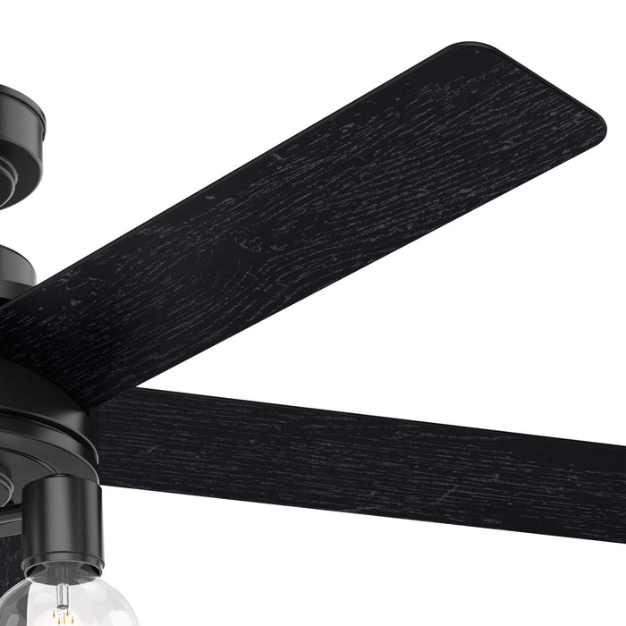 Hunter 52" Hardwick Ceiling Fan with LED Light Kit and Handheld Integrated Control System