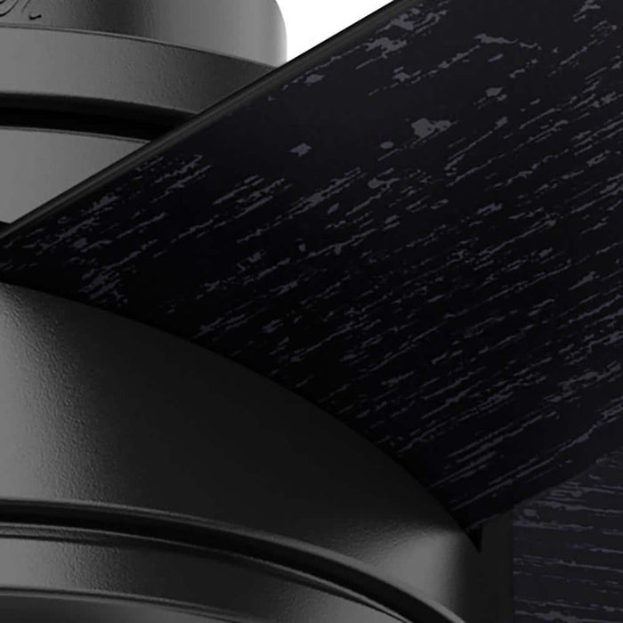 Hunter 52" Hardwick Ceiling Fan with LED Light Kit and Handheld Integrated Control System