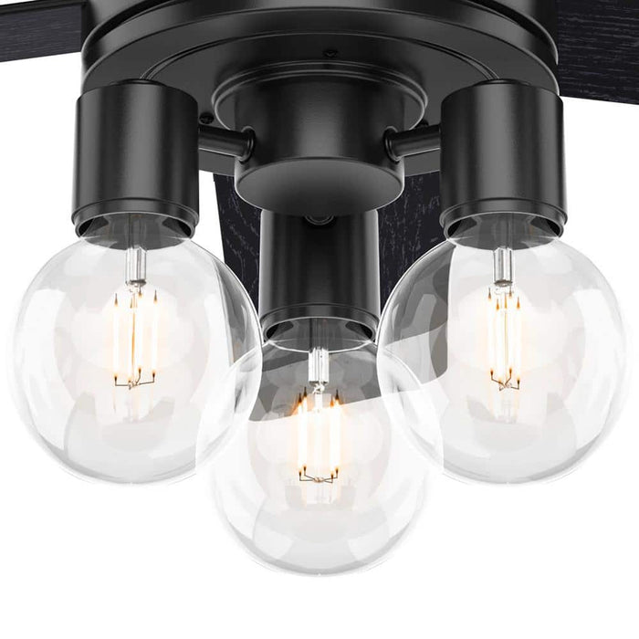 Hunter 52" Hardwick Ceiling Fan with LED Light Kit and Handheld Integrated Control System