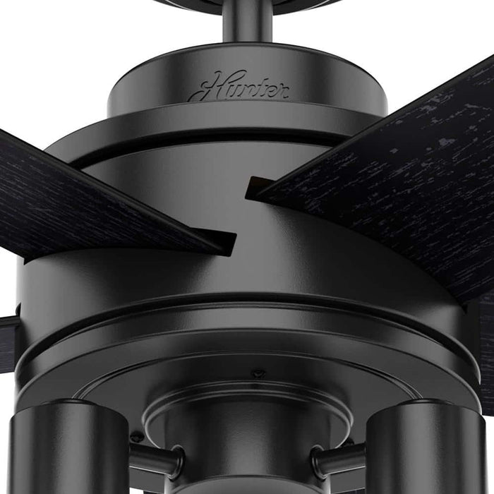Hunter 52" Hardwick Ceiling Fan with LED Light Kit and Handheld Integrated Control System
