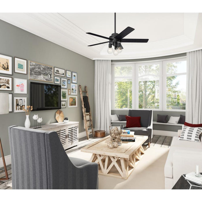 Hunter 52" Hardwick Ceiling Fan with LED Light Kit and Handheld Integrated Control System